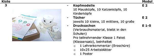 Hirnforscherbox mit Kopfmodellen, Tüchern, Drucksachen